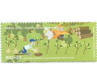 C3196 Rio + 20 Madeira certificada 18.607